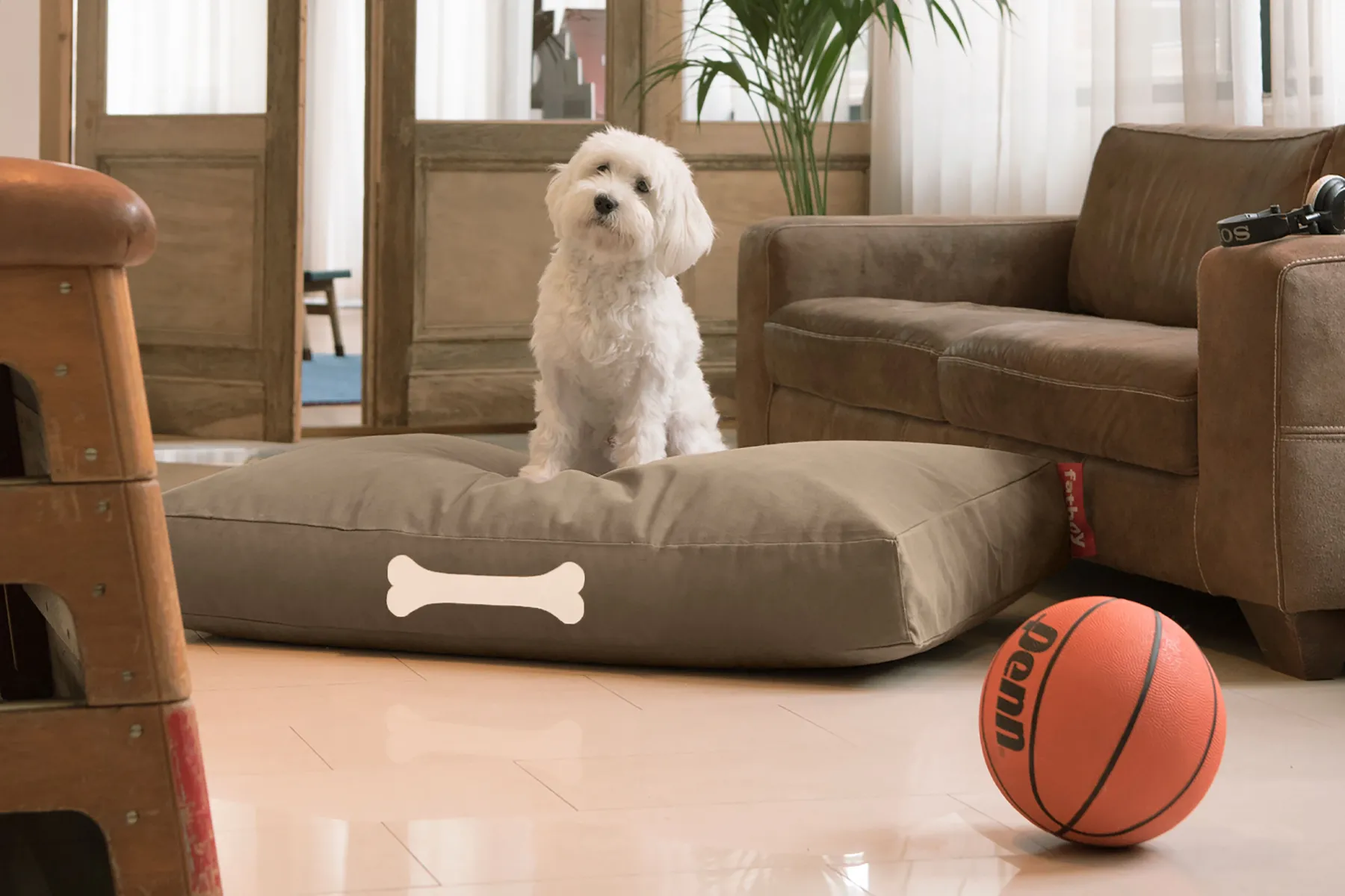 Fatboy Doggielounge L Canvas Grand coussin pour chien, gris, 80x120x15 cm